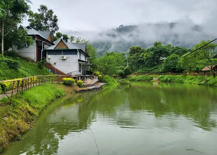Kaziranga Eco Village Resort