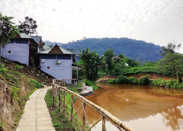 Kaziranga Eco Village Resort