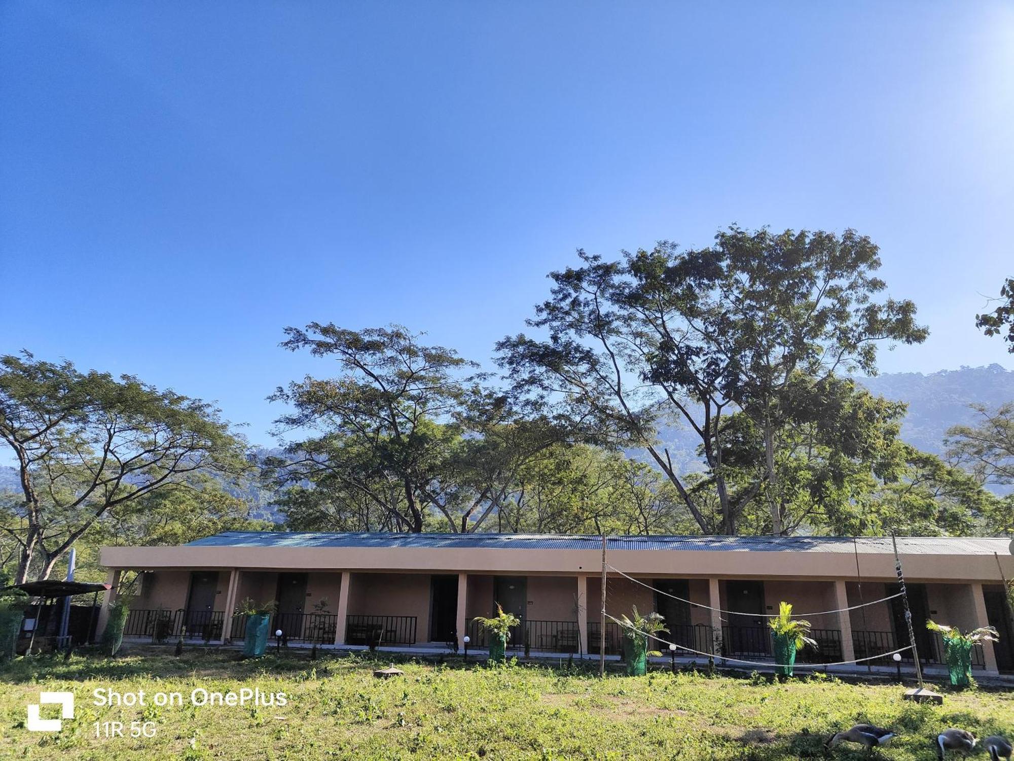 Eco Village * Kaziranga