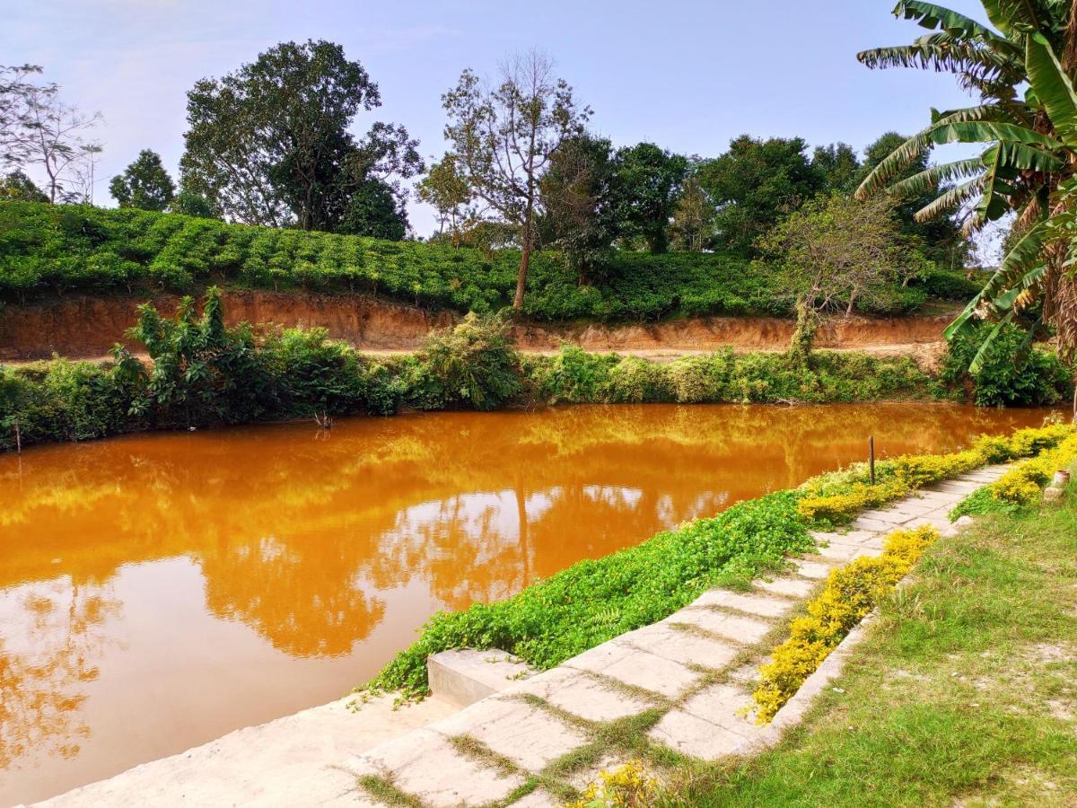 Resort Eco Village *